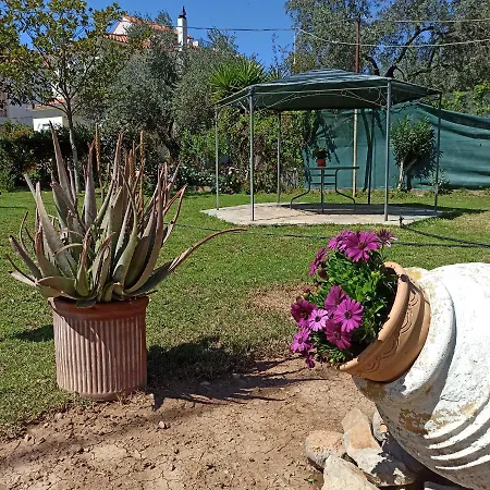 Itea's Garden House * Kirra